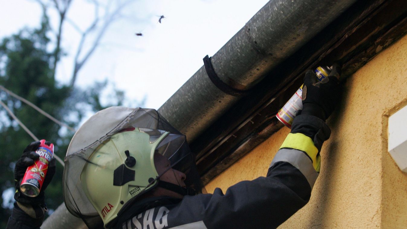 Fotó: MTI Zrt. Fotószerkesztõség