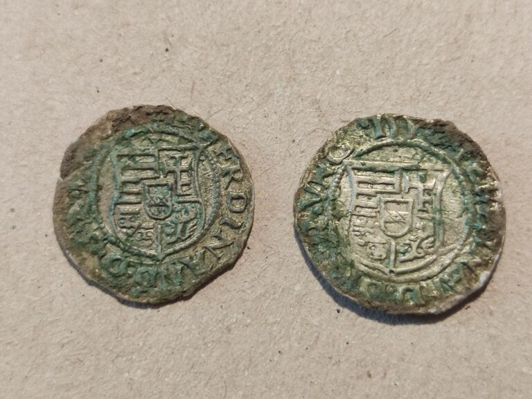 Kutatás a Tamási járásban – denárok is előkerültek