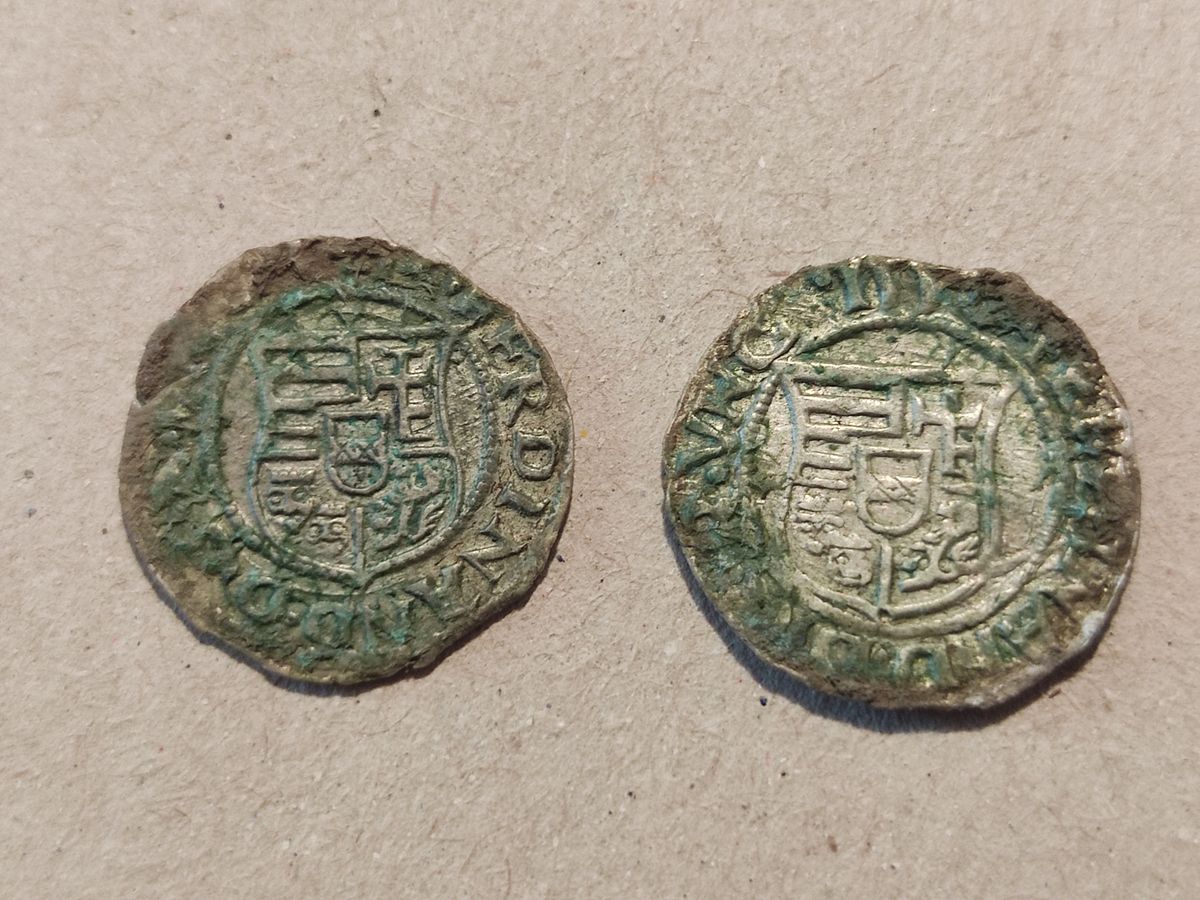 Kutatás a Tamási járásban – denárok is előkerültek