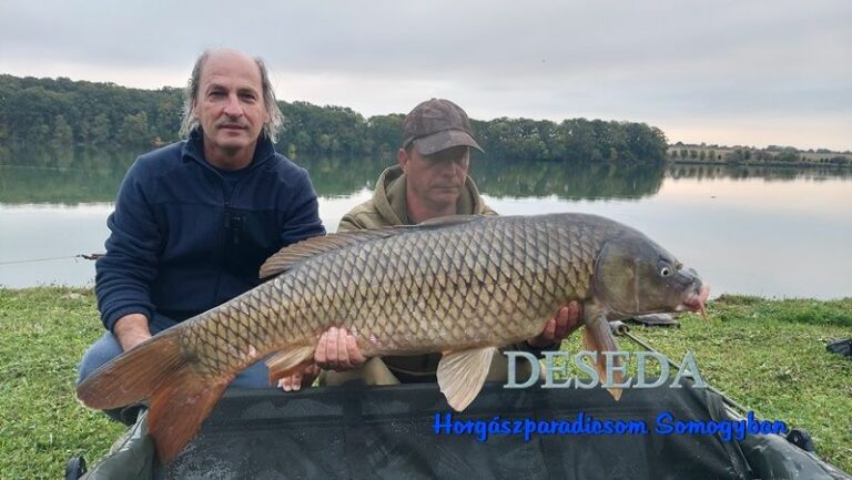 A halat a Bóvli Team csapata terelte szákba