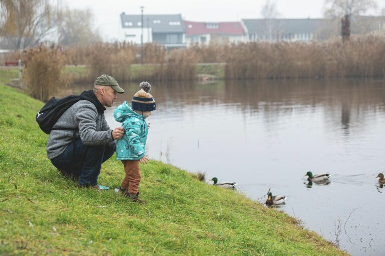 Bár segítő szándékkal kezdődik, a vízimadarak etetése nem segítség, hanem káros Forrás: Gazdag Mihály/Kelet-Magyarország