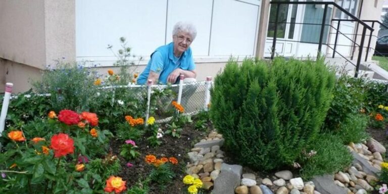 Bár látványa mesés, az őszi kikerics mérgező hatása miatt komoly veszélyt jelenthet háziállatokra, sőt akár az emberre is.