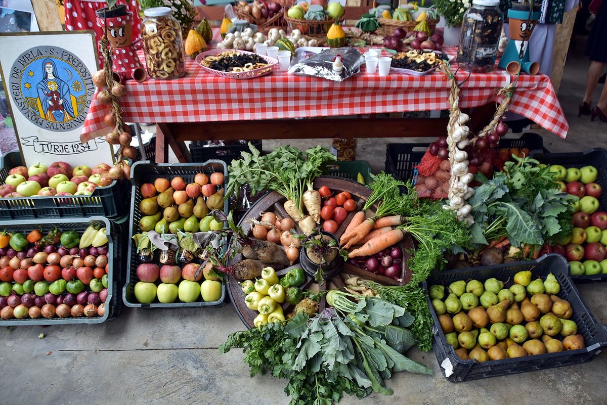 A kormányhivatal 2021 óta szervez „Értéket teremtünk” címmel Közfoglalkoztatási Kiállítást és Vásárt azért, hogy a közfoglalkoztatási mintaprogramban részt vevő települések lehetőséget kapjanak elért eredményeik, így az általuk előállított termékek, termények, élelmiszerek bemutatására. Forrás: Zala Vármegyei Kormányhivatal