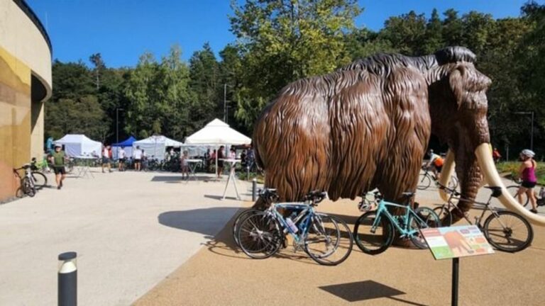 Forrás: bukkvidekgeopark.com