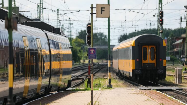 Illusztráció - Forrás: Shutterstock