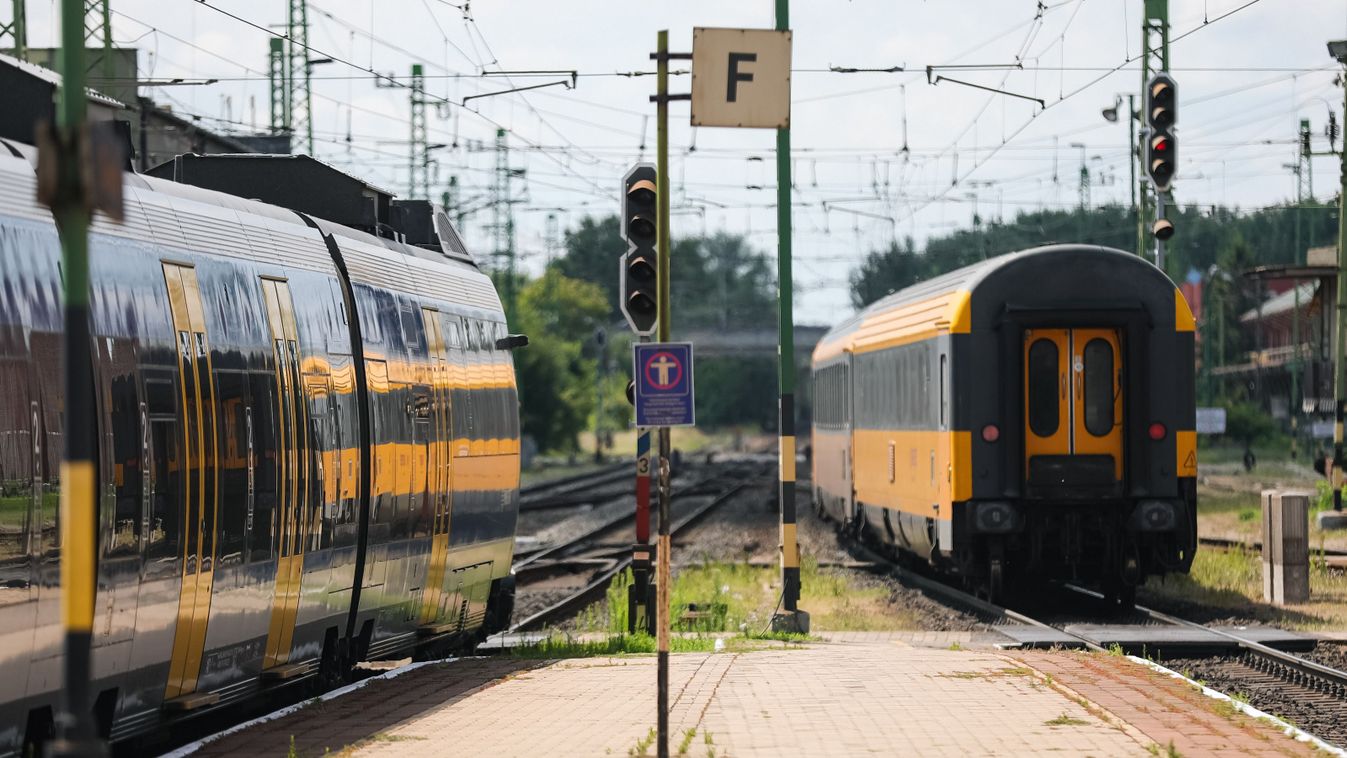 Illusztráció - Forrás: Shutterstock