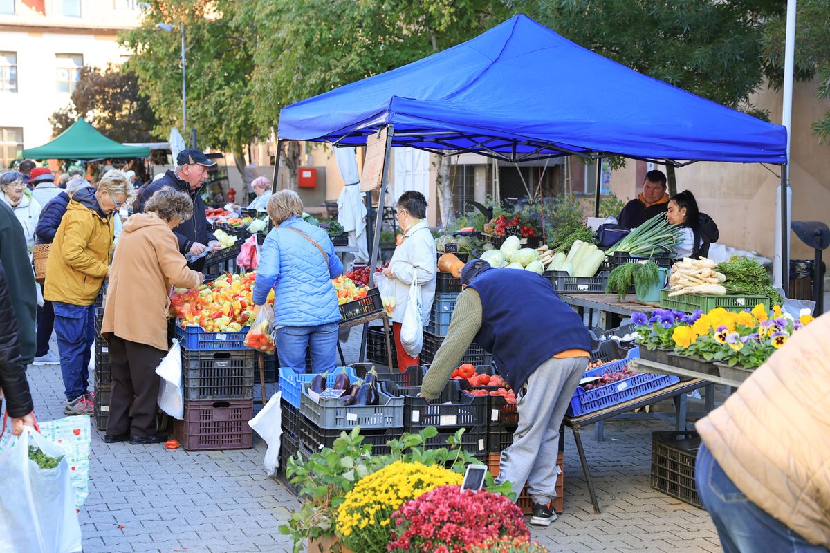 A szekszárdi piacon szerdánként inkább az idősebb korosztály és a kisgyermekes anyukák a vásárlók. Fotó: Makovics Kornél