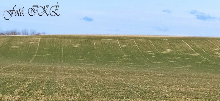 "...az AQUAPROFIT kivitelezésében létrejött fejlesztés Mohácstól kis híján a déli határig vezetheti Baranya öntözőhálózatát..."