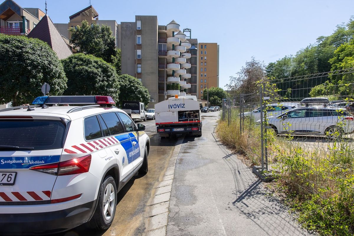 Nem kell pánikolni, ha levillog a rendőr! Fotó: Vendel Lajos / Forrás: Nool.hu / Illusztráció