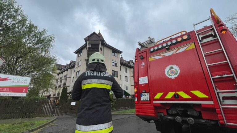 A szén-monoxid-jelzők az utóbbi évek egyik legfontosabb háztartási eszközévé váltak.