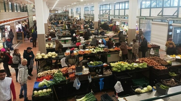 Forrás: FMH archív