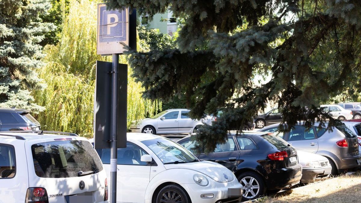 A Kúria döntése értelmében a tatabányai parkolási rendelet törvénytelen Fotó: Flajsz Péter / Forrás: 24 Óra