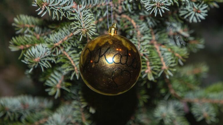 Keresik Tiszafüred karácsonyfáját Forrás: Illusztráció / MW Archívum Fotó: Zetovics Márió / Forrás: 24 Óra