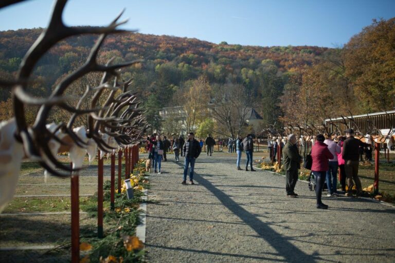Trófeaszemle és rémséges fesztivál: ezek lesznek a legjobb programok Nógrádban Forrás: Nool.hu / Archív