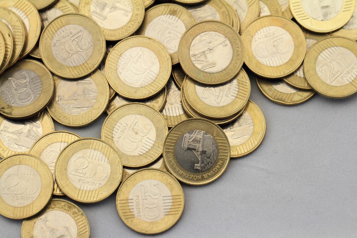 Hatalmas összegért kelt el a gyártási hibás 200 forintos Fotó: Nneirda / Forrás: Shutterstock