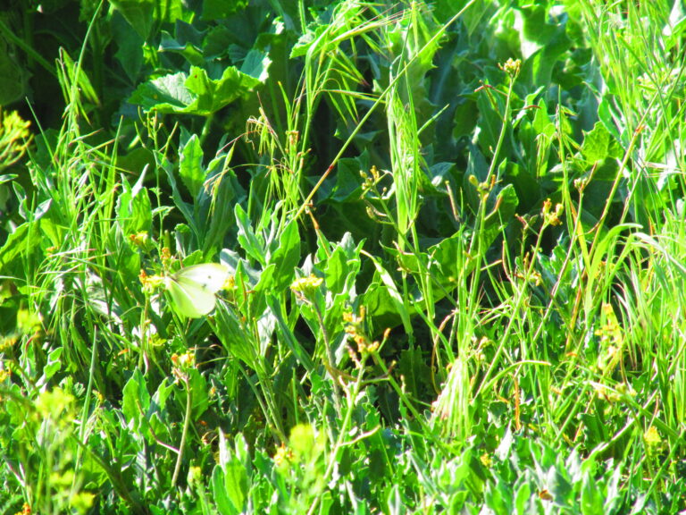 Fotó: Illusztráció - IKÉ