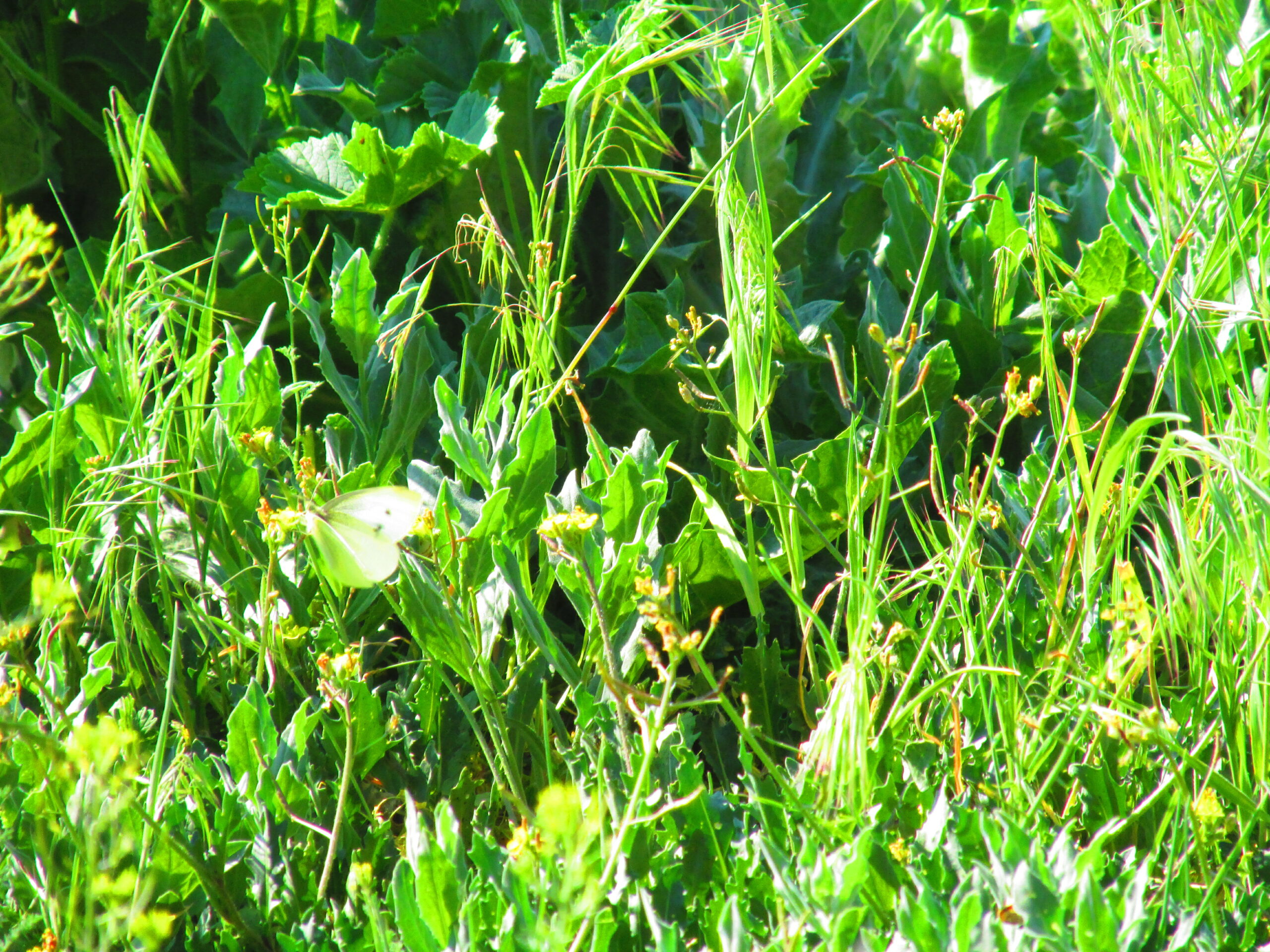 Fotó: Illusztráció - IKÉ