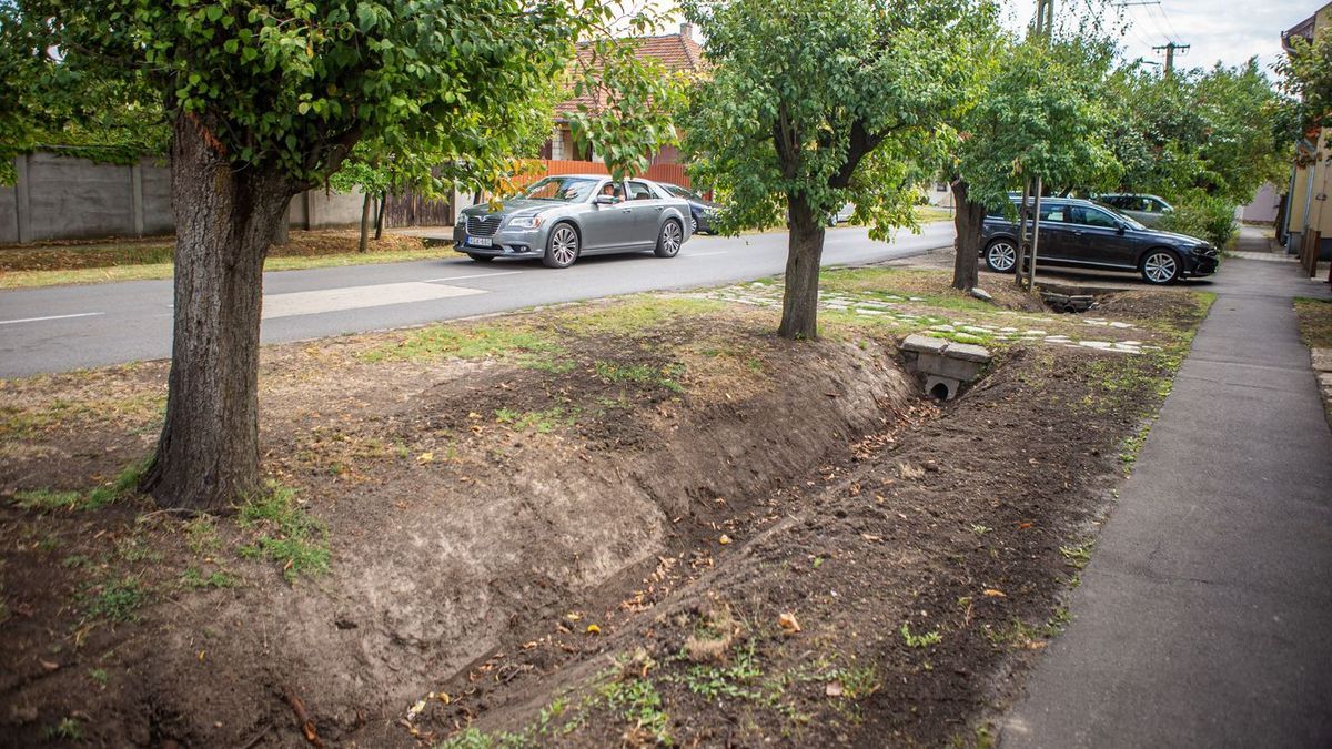 A vízelvezető árkok tisztítására hívta fel a békéscsabaiak figyelmét az önkormányzat. Fotó: MW
