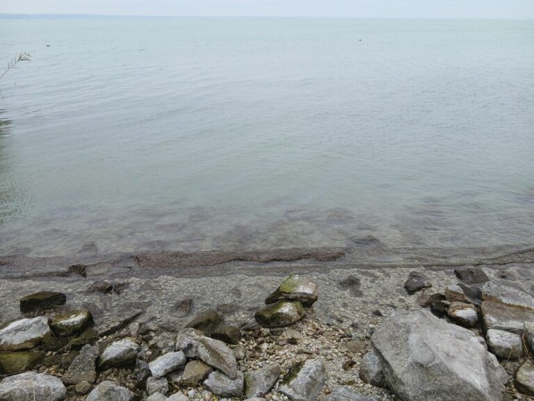 A Balaton vízállás láthatóan alacsony, a part mentén a meder kiemelkedik Fotó: Forgács Bernadett/Napló
