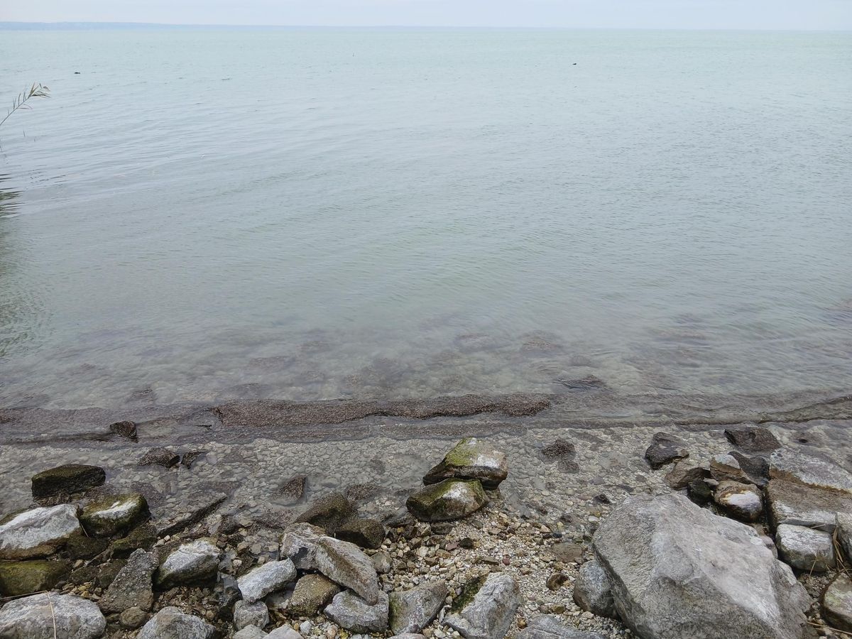 A Balaton vízállás láthatóan alacsony, a part mentén a meder kiemelkedik Fotó: Forgács Bernadett/Napló