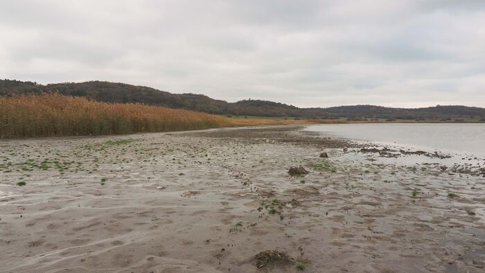 A tihanyi Belső-tó különös és nyugtalanító látványt nyújt