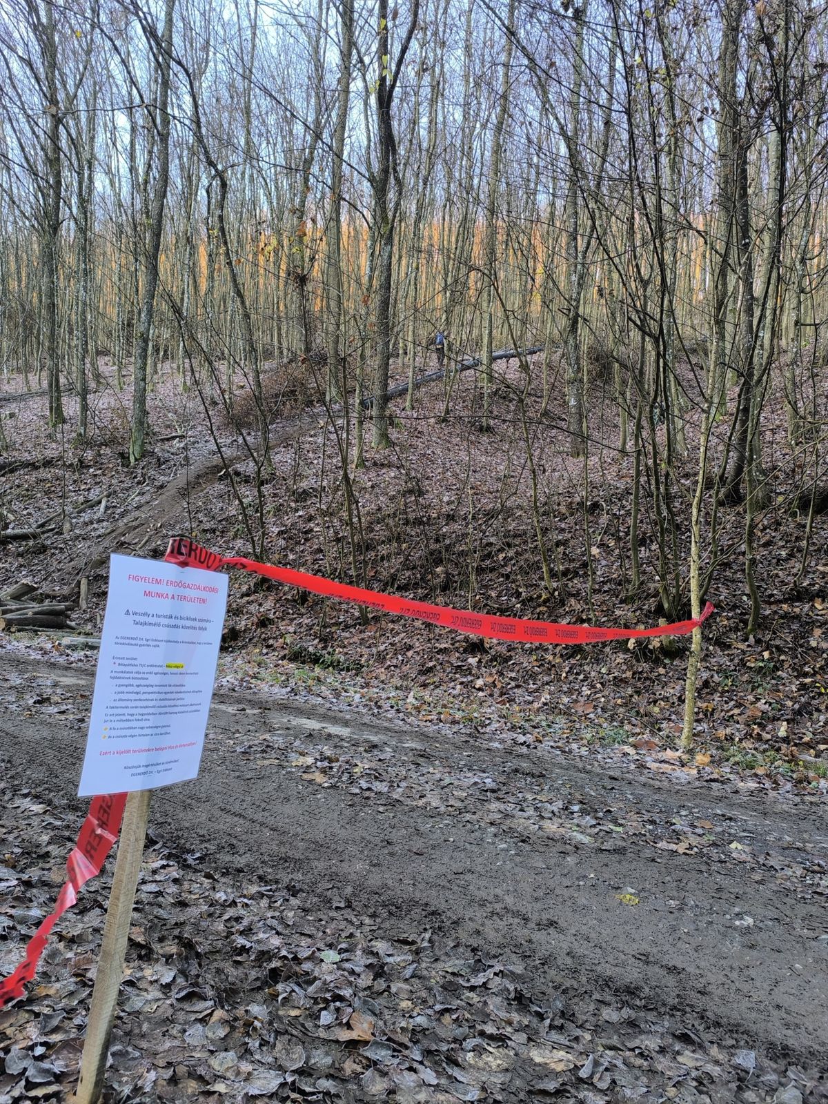 Jobb, ha messziről elkerülöd a Bükk bizonyos területét. Forrás: EGERERDŐ Zrt.