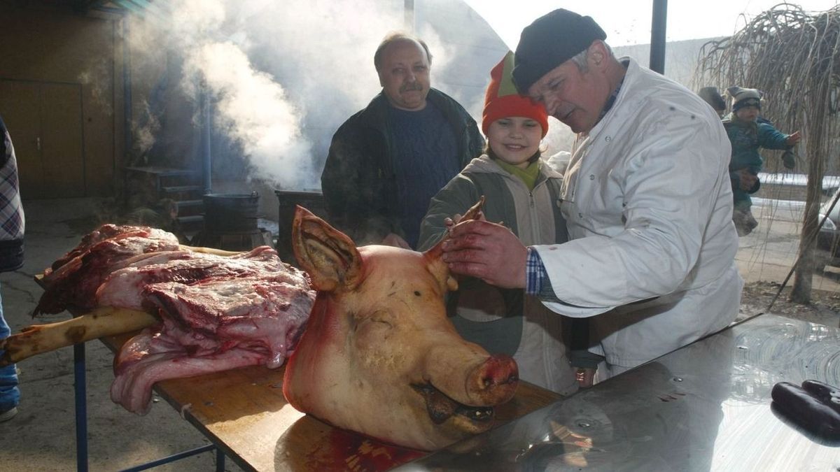 Disznóvágáskor számos szabályt be kell tartani Forrás: TEOL