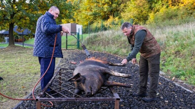 "Ezen a hétvégén egyszerre van jelen a múlt tisztelete, a jelen öröme és a jövő reménye..."