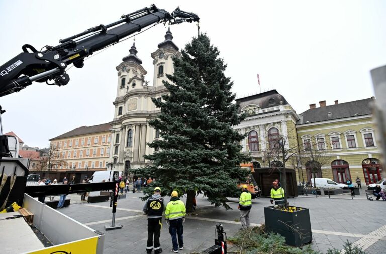 A Dobó térre szállították Eger karácsonyfáját Fotó: Lénárt Márton/heol.hu