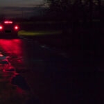 A két gyerek csak áll kézenfogva és nézi a kocsi távolodó hátsó lámpáit.