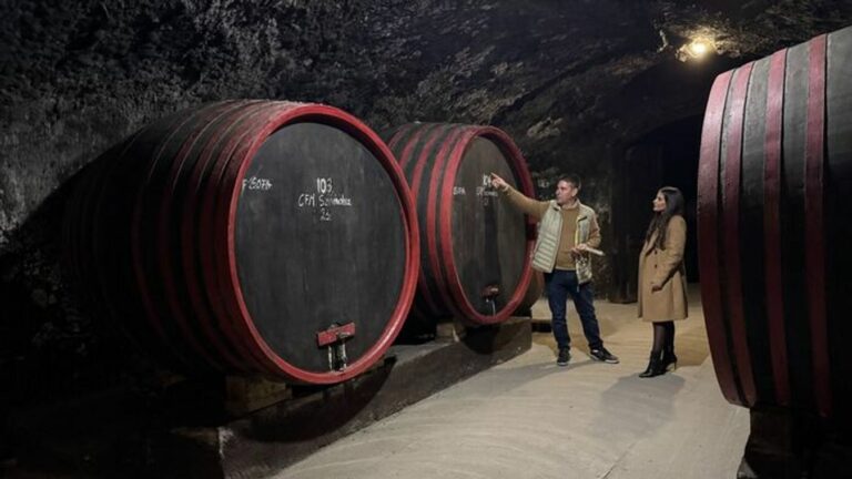 Egri is lehet az Év Bortermelője Lamport József is az Év Bortermelője 2025 jelöltje, az egri borvidék kiemelkedő borásza.