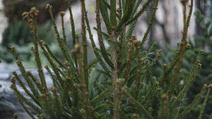 A fotó forrása: szoljon.hu