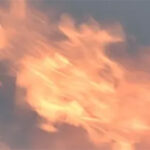 Hivatalos álhírek – 11.15