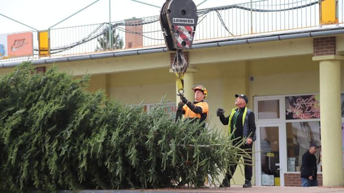 "Törökszentmiklós város köszönetét fejezi ki Volf Józsefnének a felajánlásért..."