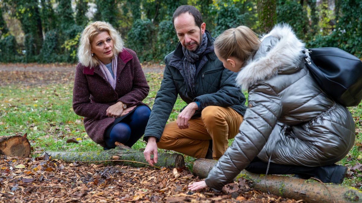 Kecskeméten új öltettel álltak elő annak érdekében, hogy segítsék a városi zöldfelületek fenntartását, ezt a célt az avar helyben hagyása szolgálja Fotó: Bús Csaba