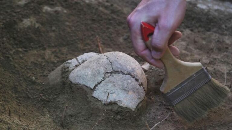 Ősi maradványt találtak Baranyában