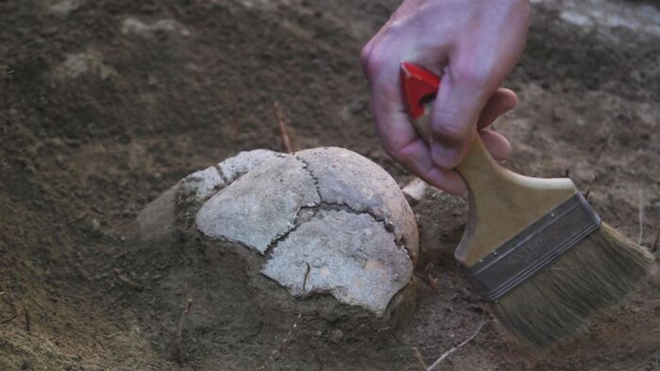 Ősi maradványt találtak Baranyában