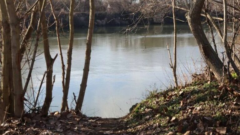 "Előfordulnak itt különleges, kevésbé ismert, védett gombafajok is..."