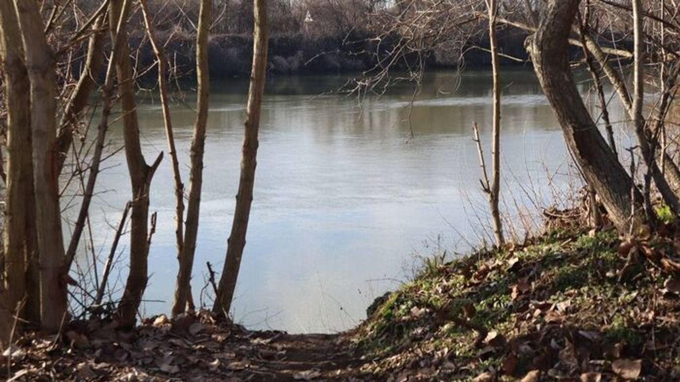 "Előfordulnak itt különleges, kevésbé ismert, védett gombafajok is..."