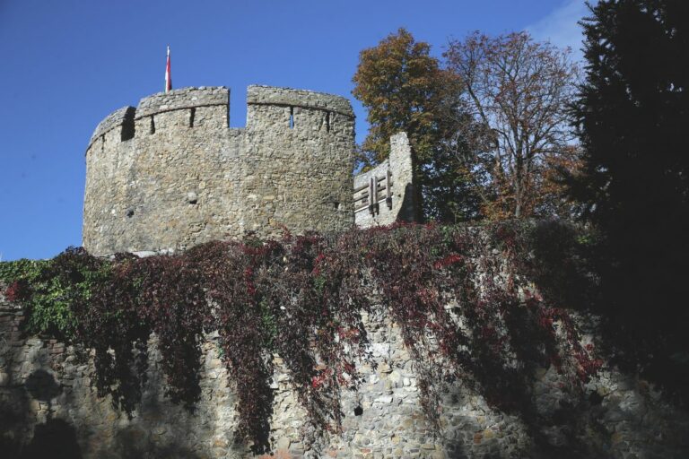 A mesterséges intelligencia szerint Pécs Baranya legélhetőbb települése Fotó: Sándor Judit