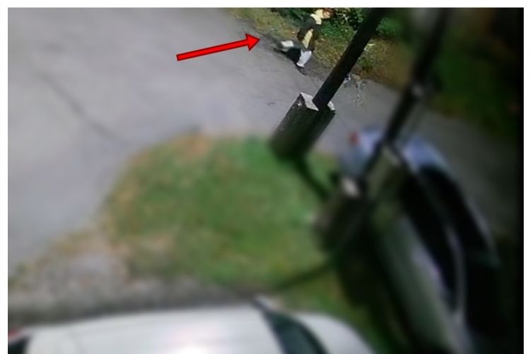 Fotón a soproni rollertolvaj. Fotó: Győr-Moson-Sopron Megyei Rendőr-főkapitányság