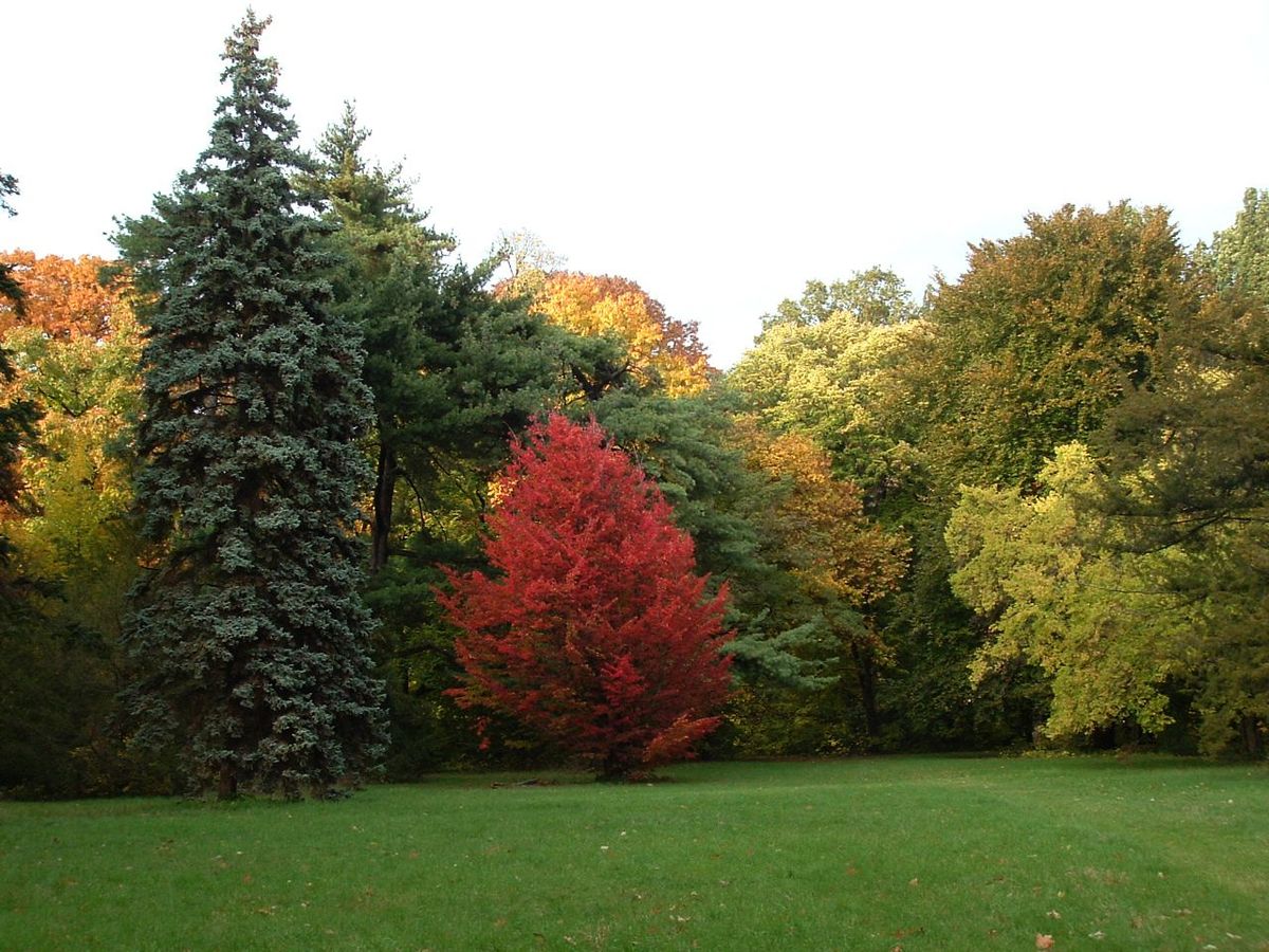 A Szarvasi Arborétum bekerült a Magyar Értéktárba, így mostantól a kiemelkedő nemzeti érték címet viseli. Fotó: Magyar Agrár- és Élettudományi Egyetem