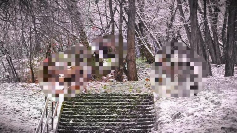 "Az egyik lakos bámulatos fotókat készített a nem mindennapi találkozásról..."