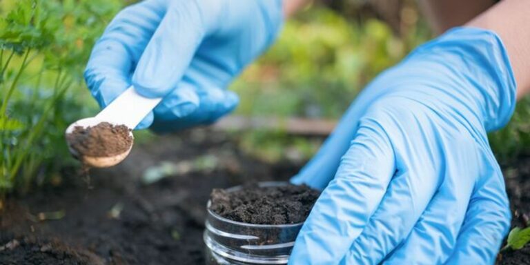 A láthatatlan veszély, amely a kertek mélyén is ott lehet