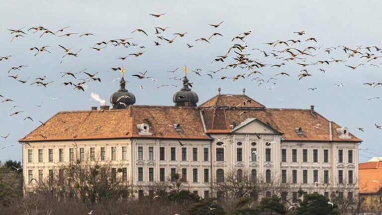 Tatai Vadlúd Sokadalom