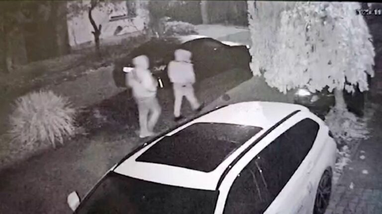 Fotó és videó is készült a tolvajokról Fotó: Olvasói fotó/bama.hu