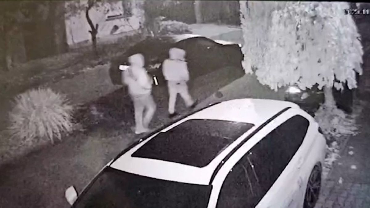 Fotó és videó is készült a tolvajokról Fotó: Olvasói fotó/bama.hu