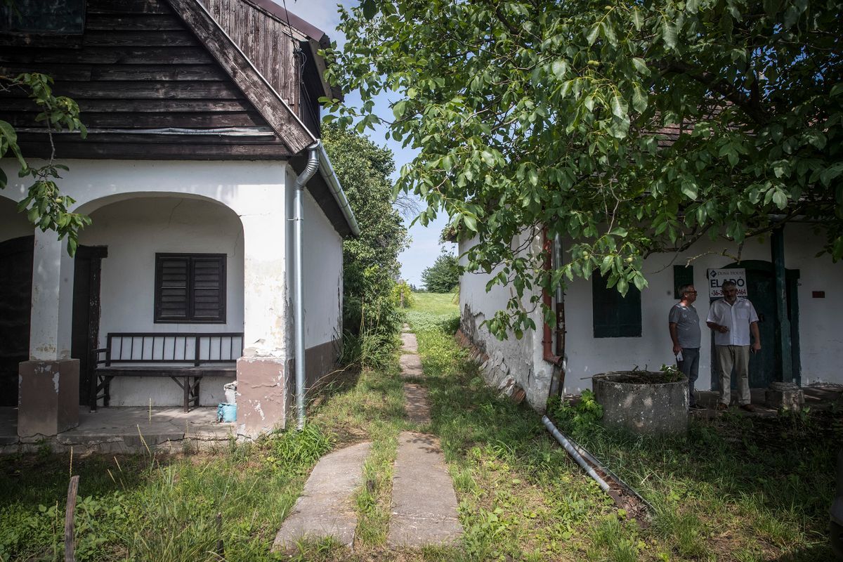 Nem mindegy, hol található az adott zártkert, ahol kiépült az infrastruktúra, ott magas árat lehet kérni érte Forrás: Magyar Nemzet/Teknős Miklós