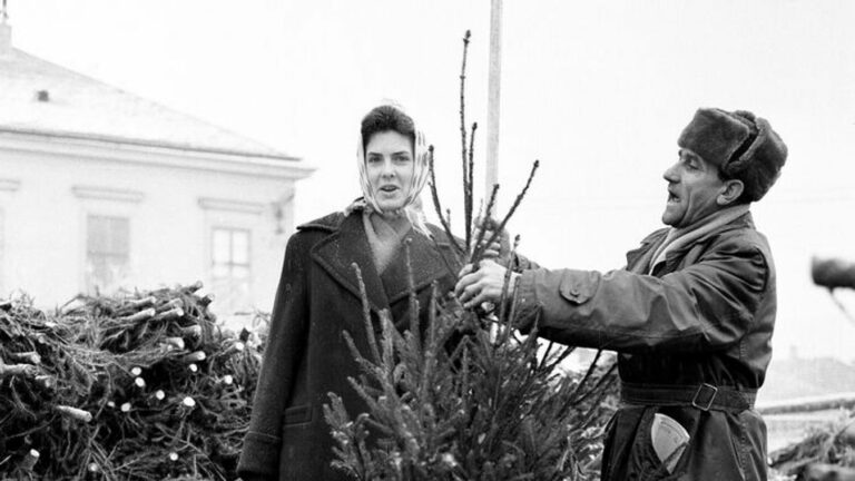 Pillanatképeken mutatjuk az akkori időkben lencsevégre kapott fenyőfa vásárt.