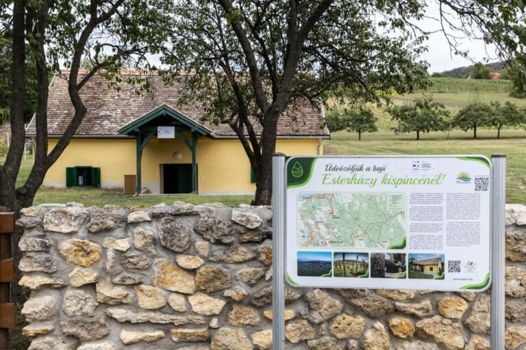 Az Esterházy Kispince kivitelzési folyamatai megkezdődtek Fotó: Flajsz Péter / Forrás: 24 óra